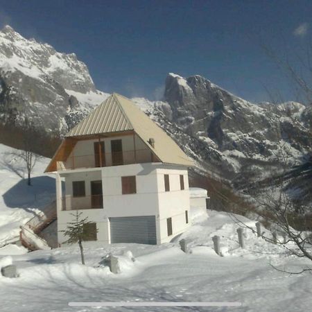 Alpbes Theth Guesthouse Shkoder Luaran gambar