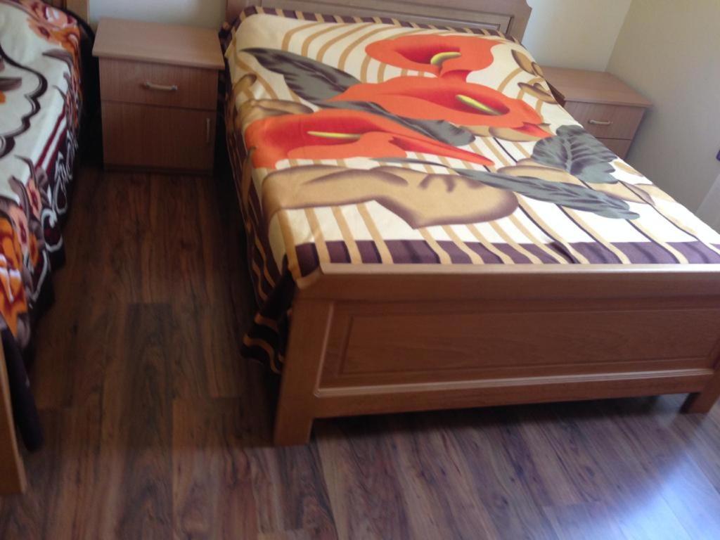 Alpbes Theth Guesthouse Shkoder Bilik gambar