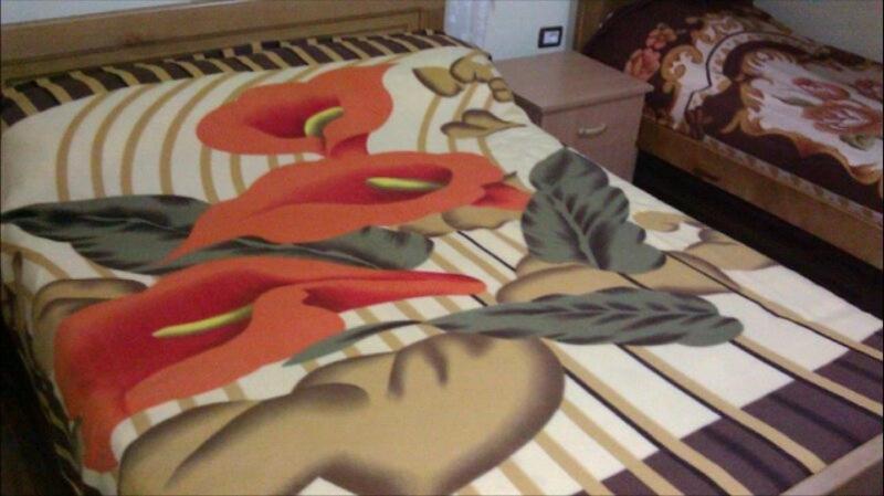 Alpbes Theth Guesthouse Shkoder Luaran gambar